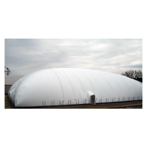 킹스버리 클럽앤스파 돔